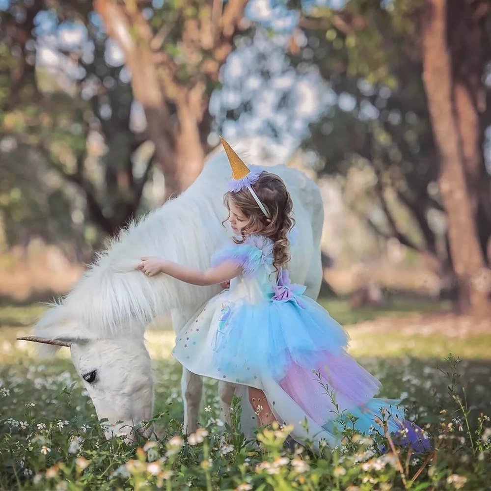 Luxury unicorn birthday dress - Picture 2 of 12